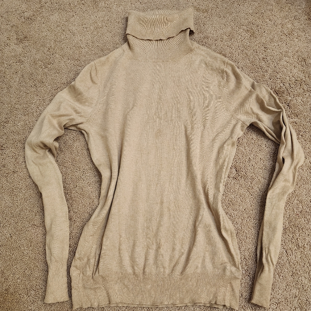 Banana Republic turtleneck sweater